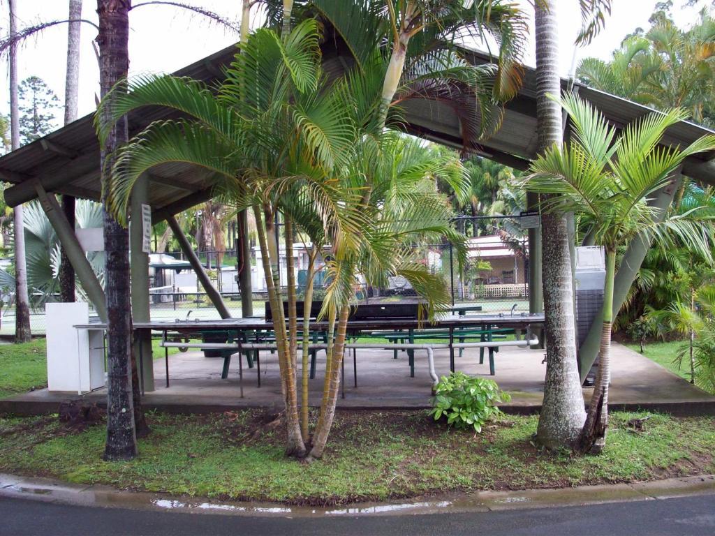 Banana Coast Caravan Park Κοφς Χάρμπουρ Εξωτερικό φωτογραφία